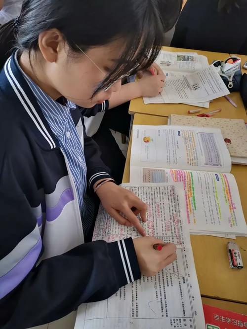 评审走进王羲之故乡 看临沂兴华高中262教育是怎样\