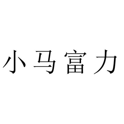 铸就未来 当“小马富力”遇见“兴华国际教育”